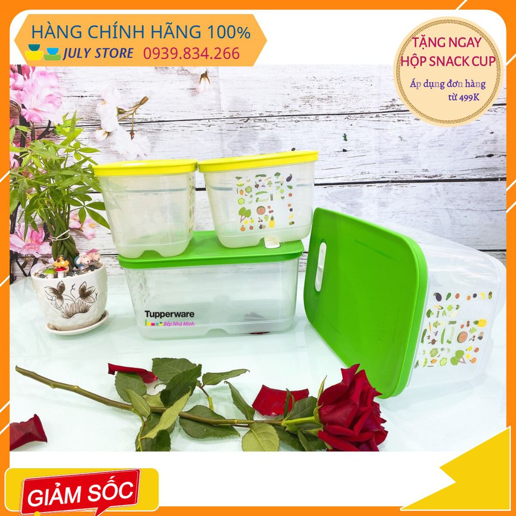 Hộp bảo quản Tupperware 💕Freeship💕 Bộ hộp trữ mát có nút hô hấp Ventsmart 4 - Hàng mới về