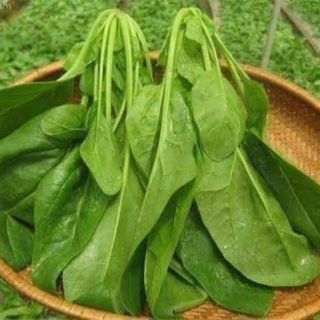 Cải bó xôi