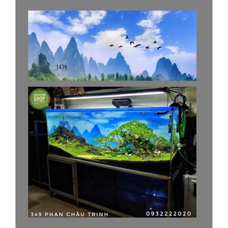 Tranh 3d dán bể cá trang trí bể cá nhiều kích thướt chọn lựa