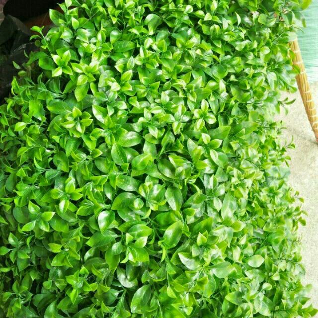 Tấm cỏ nhựa 40x60 cm