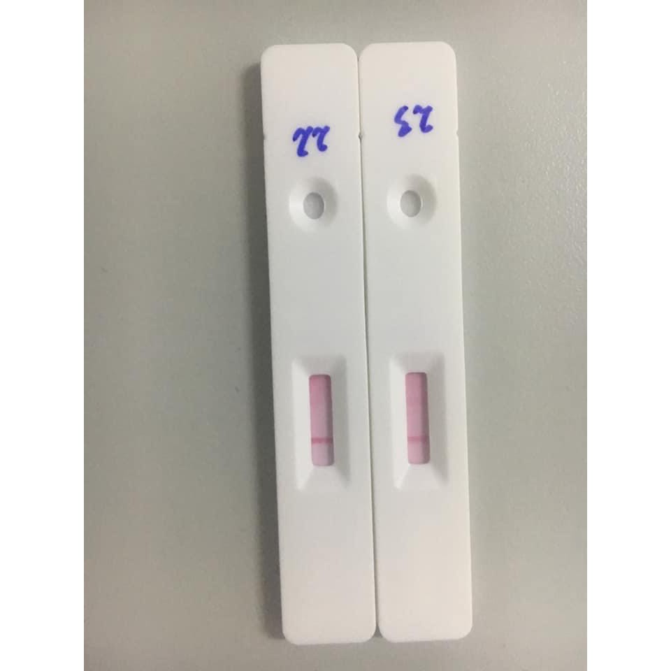 Que Thử Nhanh Dịch Tả  Heo Châu Phi (ASFV Ag Rapid Test Card) 🐖🐖🐖