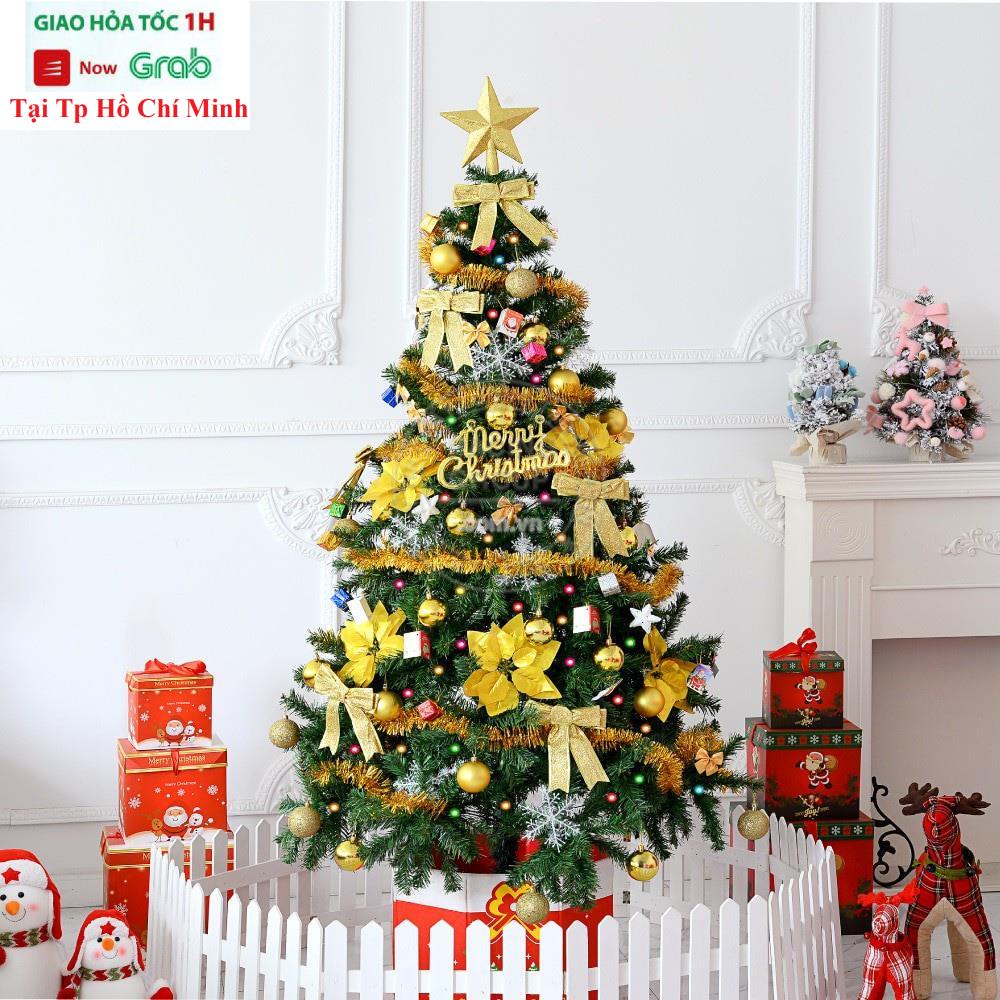 Cây Thông Noel 1m5 Trang Trí Giáng Sinh Cao Tặng 1 Ngôi Sao Và 3 Dây Kim Tuyến Hàng Việt Nam Cao Cấp