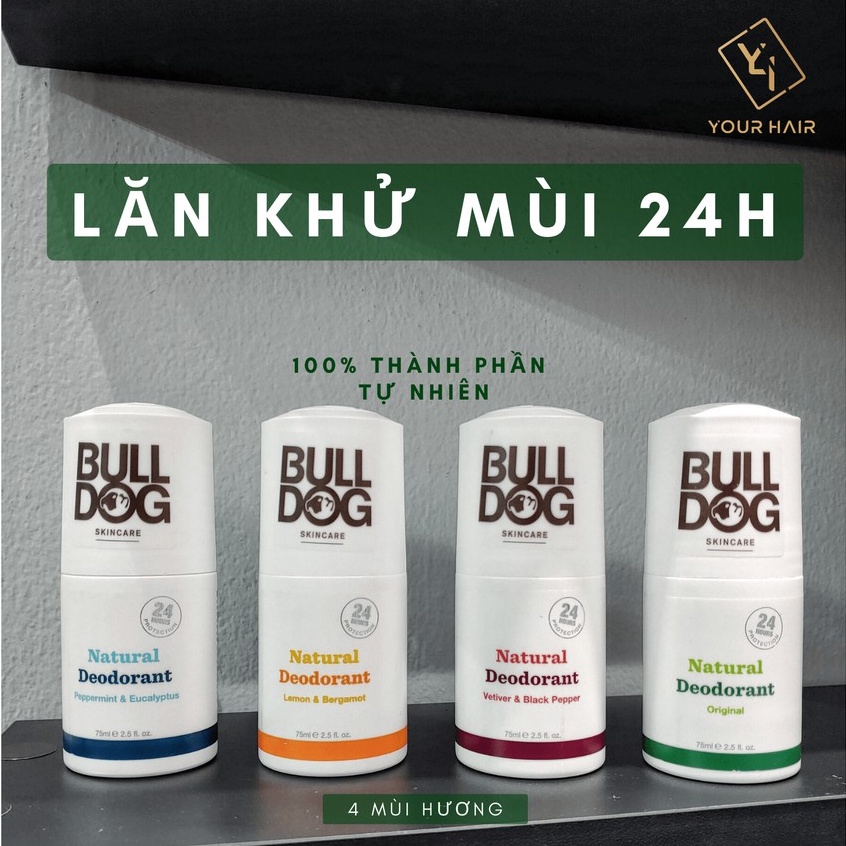  Lăn khử mùi Bulldog Natural Deodorant - Có 4 mùi hương tự nhiên 75ml - Chính hãng UK