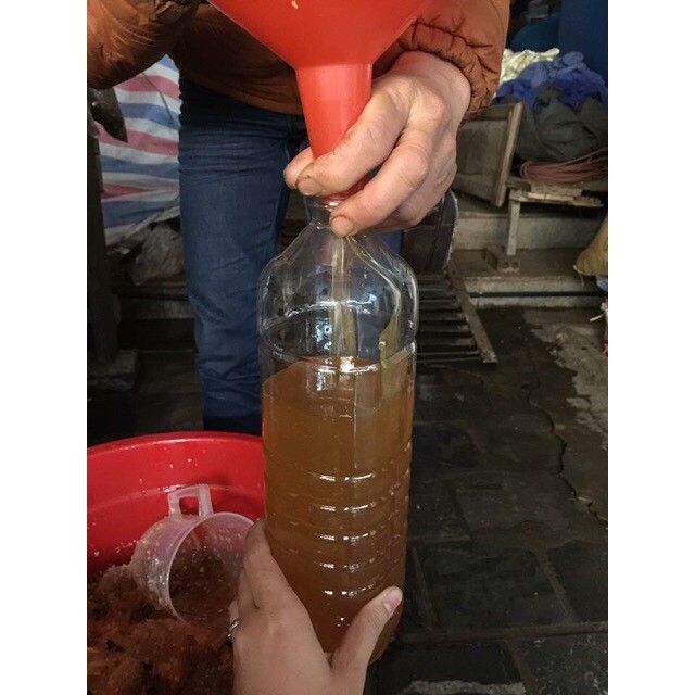 Mật Ong Rừng