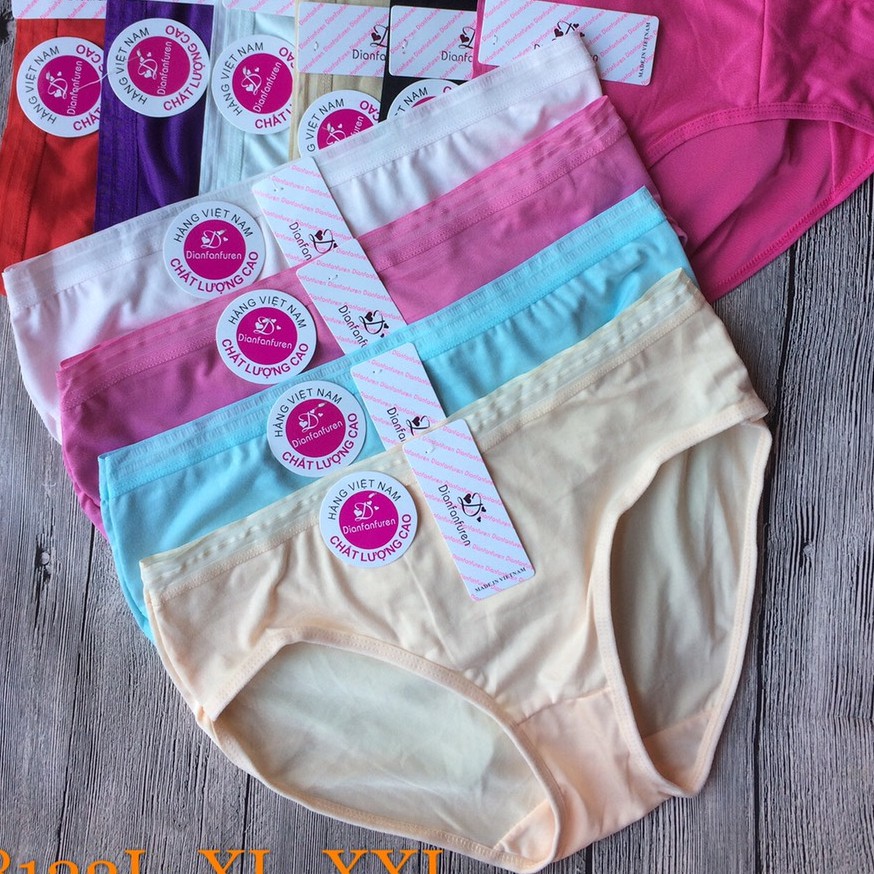 10 QUẦN LÓT COTTON 50-65KG 8122#