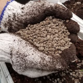 1kg phân gà hữu cơ Farmking nhập khẩu Nhật trồng rau ăn lá, rau ăn quả