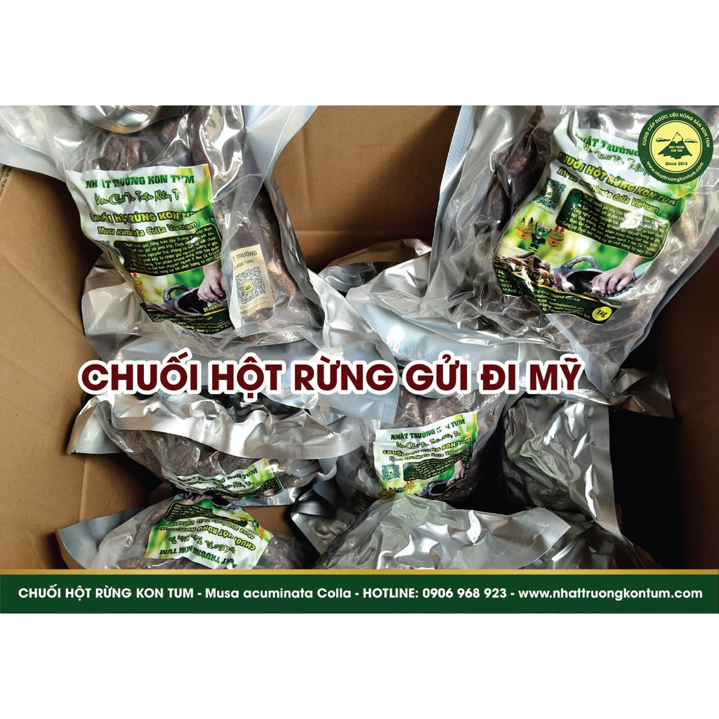 CHUỐI HỘT RỪNG KON TUM - MUSA ACUMINATA COLLA KON TUM VIETNAM - TÚI 1KG