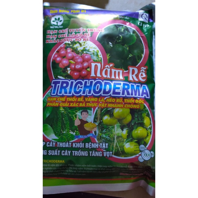 Chế phẩm sinh học Trichoderma AT