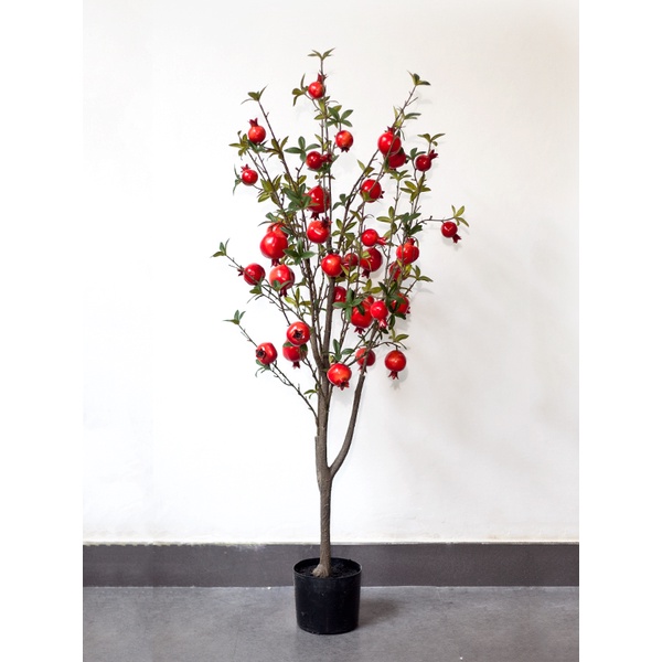 Cây lựu màu đỏ trang trí nhà cửa / Jassi Decor