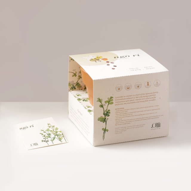 Kit Trồng Cây Mini - Ngò Rí  | Plant Kit - Coriander