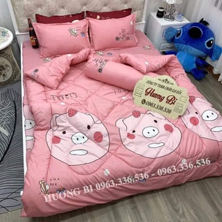 Bộ chăn ga gối 5 món chăn phao trần bông dầy.