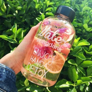 30 gói trà hoa quả sấy detox sỉ sll tặng kèm bình 600ml và túi vải