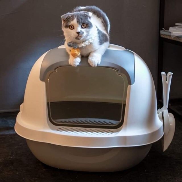 Nhà vệ sinh thế hệ mới khép kín cho mèo(Kèm xẻng)