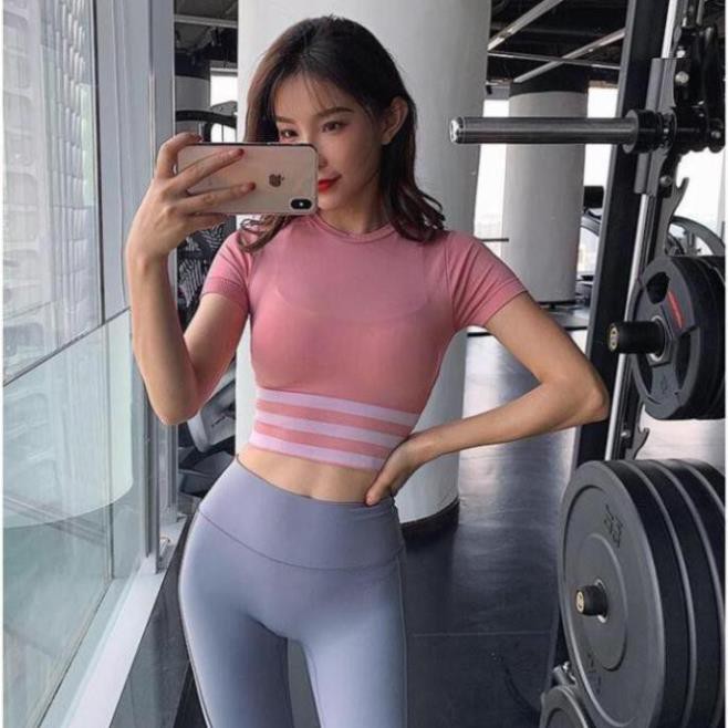 [EMMA] Áo Tập Gym Nữ [CROPTOP] Dáng Tay Ngắn 3 Sọc Eo Thể Thao Quảng Châu [ĐỒ TẬP]