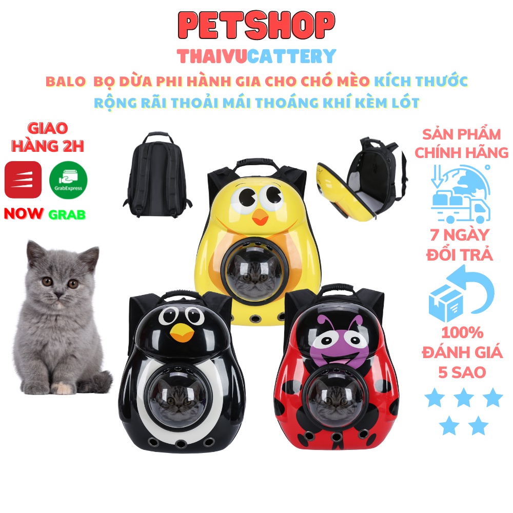 Balo con bọ dừa phi hành gia ngộ nghĩnh đáng yêu dành cho chó mèo, tặng kèm miếng lót balo