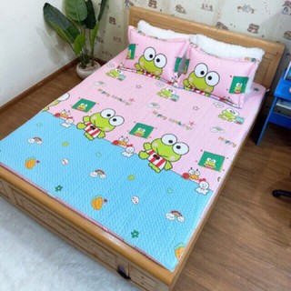 Bộ ga gối chun trần bông GGCT01