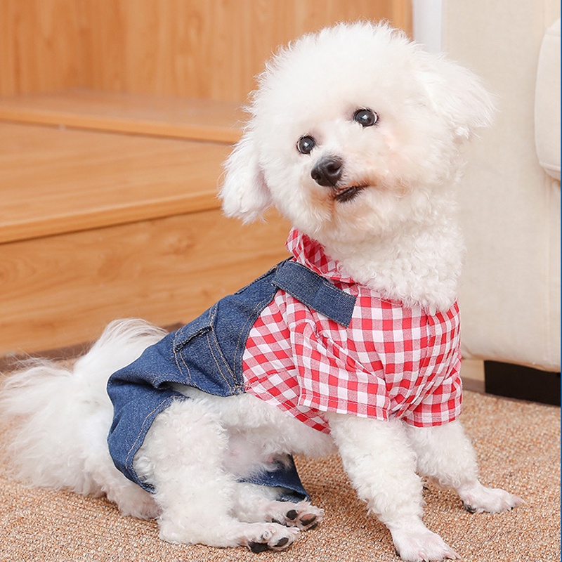 (MớI) Áo Thun Cotton Cho Thú Cưng