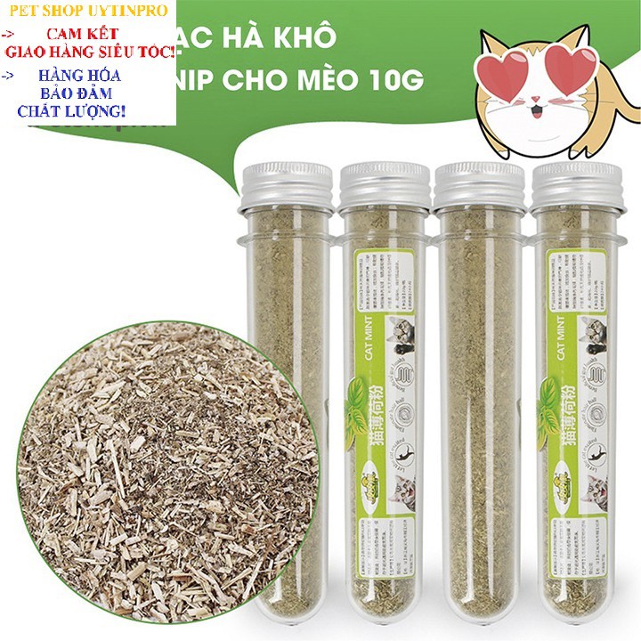 ỐNG CỎ BẠC HÀ MÈO Catnip HahaleỐng Cỏ Bạc Hà Mèo Cat mint Hahale