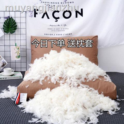 Gối Lông Ngỗng 100% Cotton Màu Trắng Chất Lượng Cao