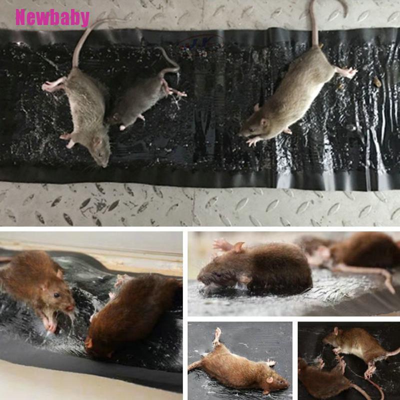 Keo Dính Chuột 60CM Mạnh Mẽ