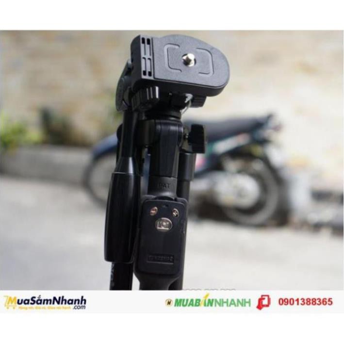 GẬY CHỤP HÌNH YUNTENG 5208 | BigBuy360 - bigbuy360.vn