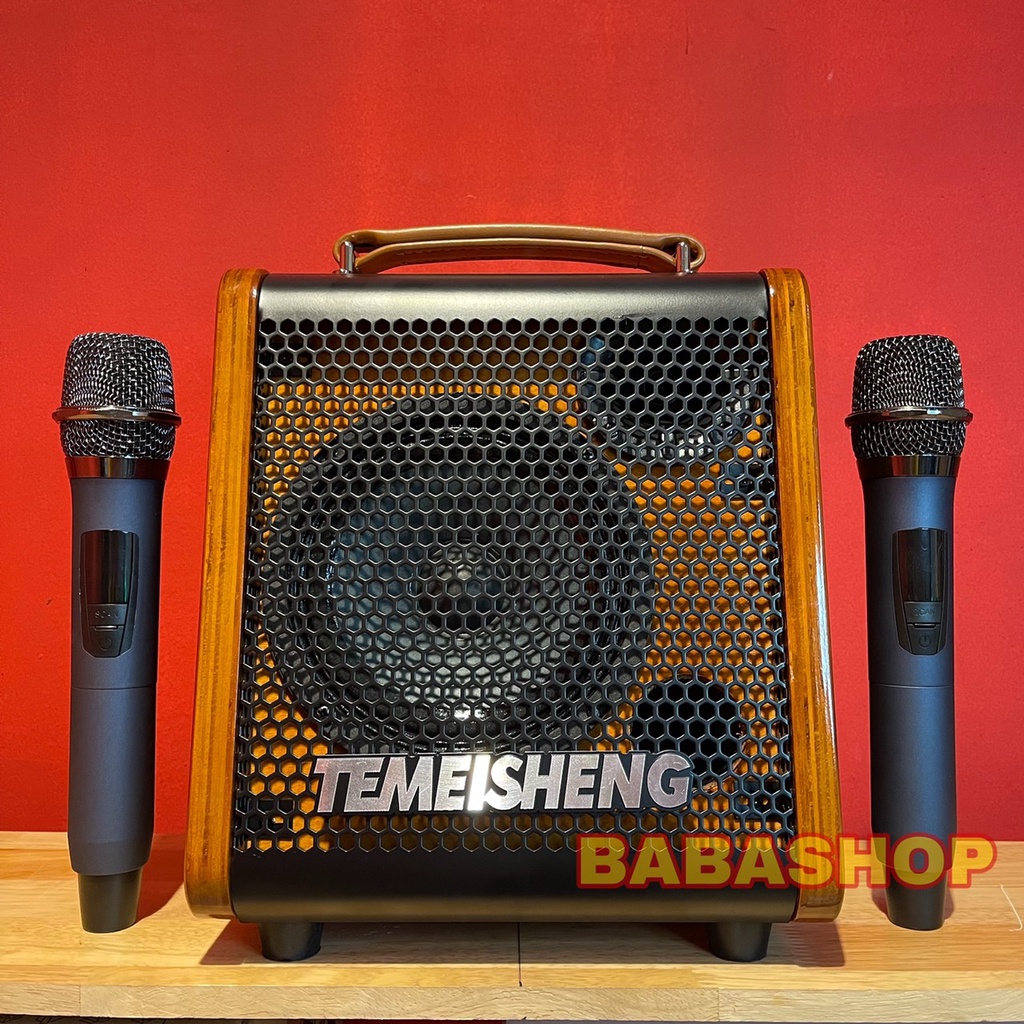 Loa kéo karaoke mini Temeisheng JT0653 - Tích hợp vang số, có Reverb - Micro chông hú