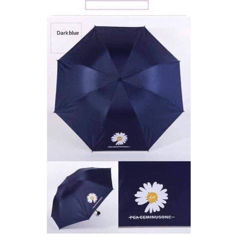 Ô Dù Gấp Gọn Hoa Cúc Thiết Kế Nhỏ Gọn-Tiện Dụng, Dễ Dàng Mang Theo