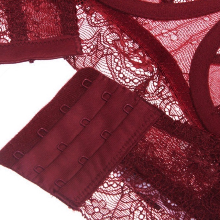 Bộ đồ lót ren BL100 đồ lót nữ cup ngực siêu mỏng, gợi cảm kiểu Pháp