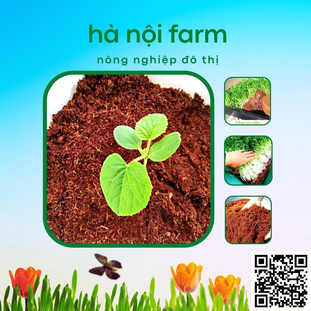 Viên nén xơ dừa, Đất nén xơ dừa tơi xốp trồng rau mầm - 500g