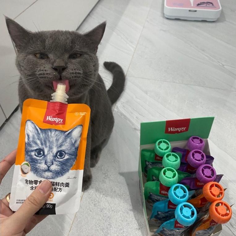 Pate Wanpy nắp vặn 4 mùi vị cho mèo 90G
