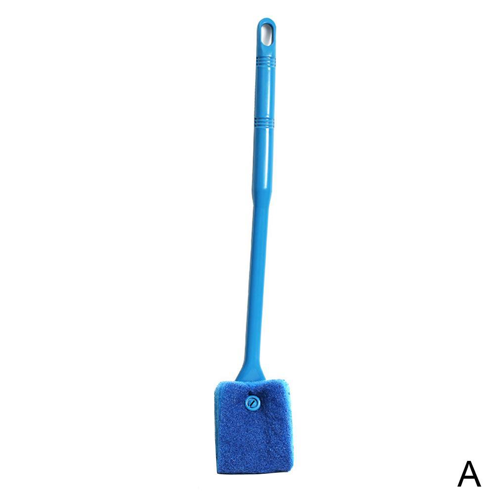 Cây Lau Kính Bể Cá H7Z1