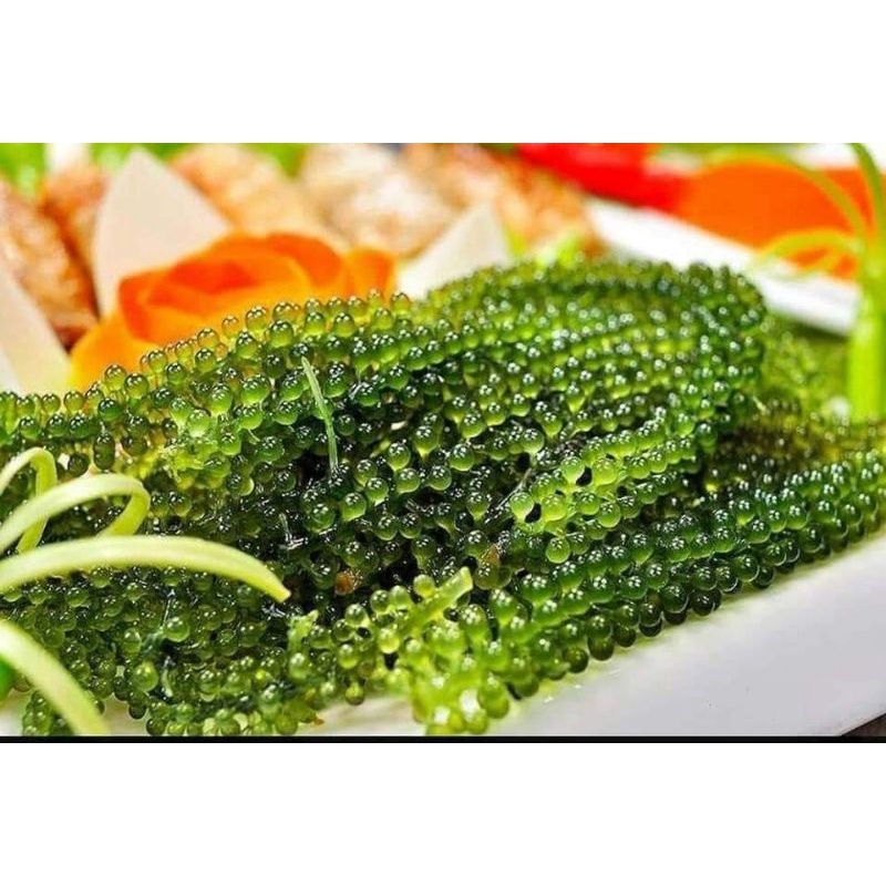 rong nho tách nước Green Food Miễn ship 🔊 Mua 5 gói rong nho tặng kèm 1 gói #phao_quay siêu hot | BigBuy360 - bigbuy360.vn