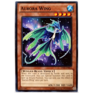 Aurora wing |en| common