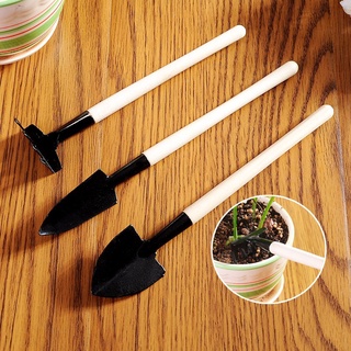 Bộ 3 dụng cụ làm vườn mini Dụng cụ trồng cây Bộ 3 chiếc trồng cây tiểu cảnh/chậu cây