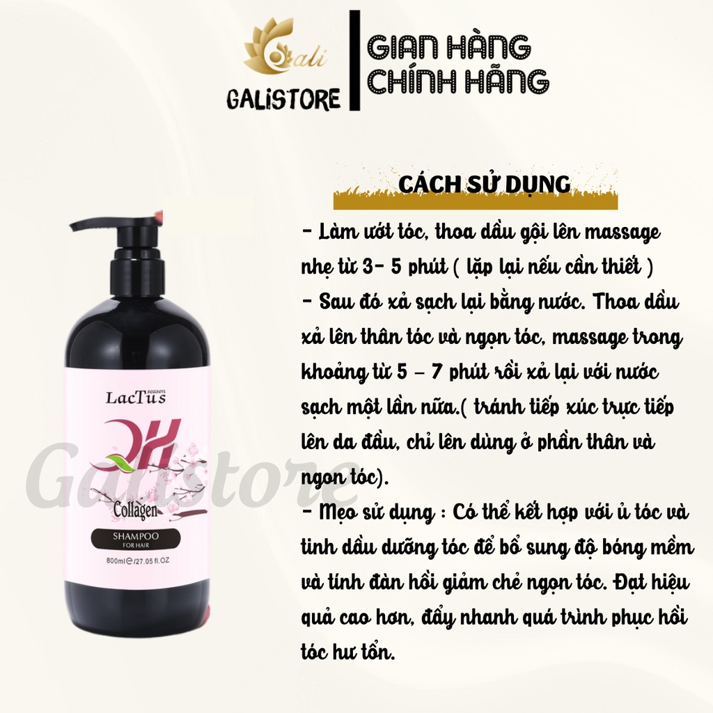 Dầu gội đầu ngăn rụng tóc QH Lactus season dầu gội da dầu, ngăn gàu - Galistore
