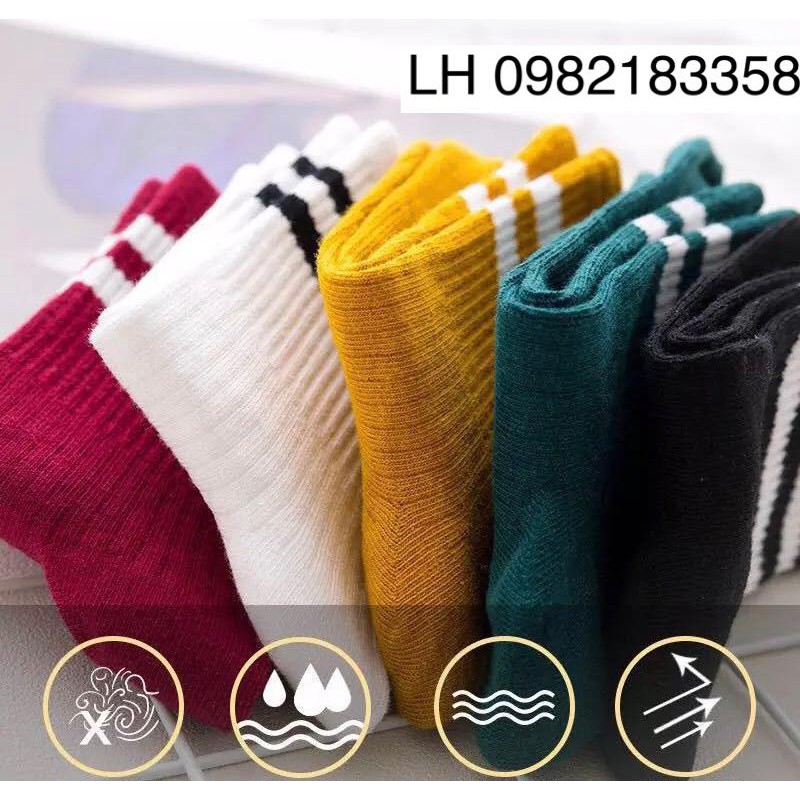 set 15 đôi tất kẻ hàn quốc nữ