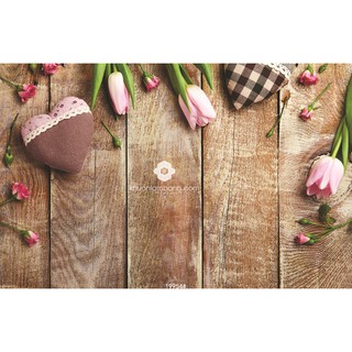 Phông nền 3D chụp ảnh sản phẩm 19954