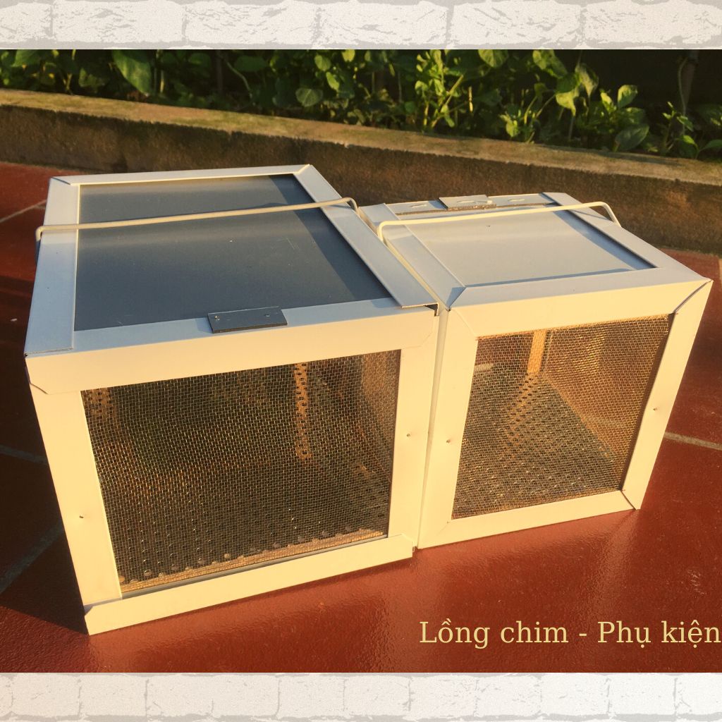 Hộp đựng dế, cào cào cho chim ăn, Hộp đựng châu chấu tiện lợi