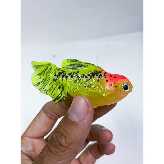 CÁ BA ĐUÔI GOLD FISH DẠ QUANG NỔI TRANG TRÍ BỂ CÁ