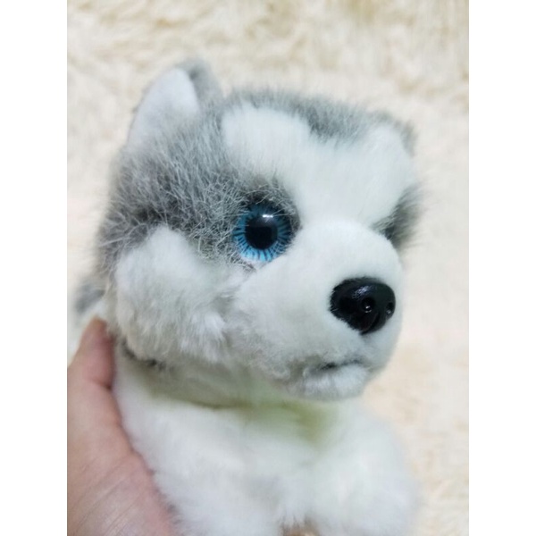 Gấu bông con chó Husky Alaska giống như thật