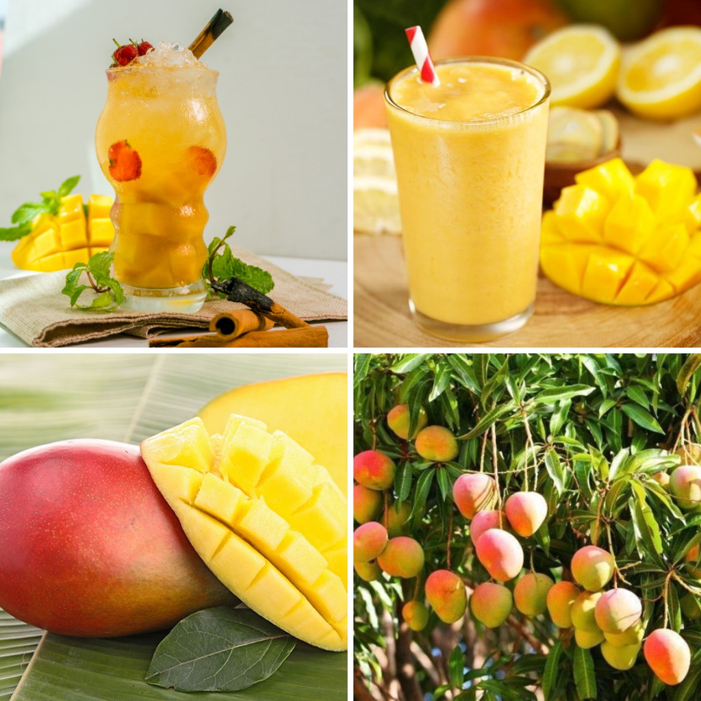 Smoothie Xoài Mango làm trà trái cây, đá xay, soda thay thế Sinh tố Syrup Siro Puree - JUPITER