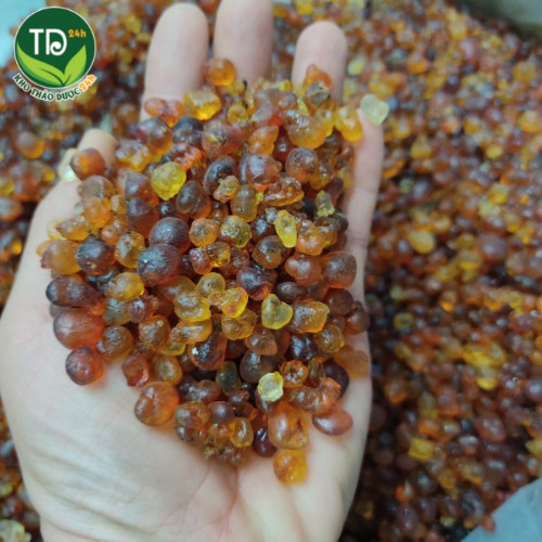 Nhựa đào (mủ đào), hàng loại 1, nguyên liệu nấu chè dưỡng nhan 12 vị [100 gr] I Kho Thảo Dược 24h