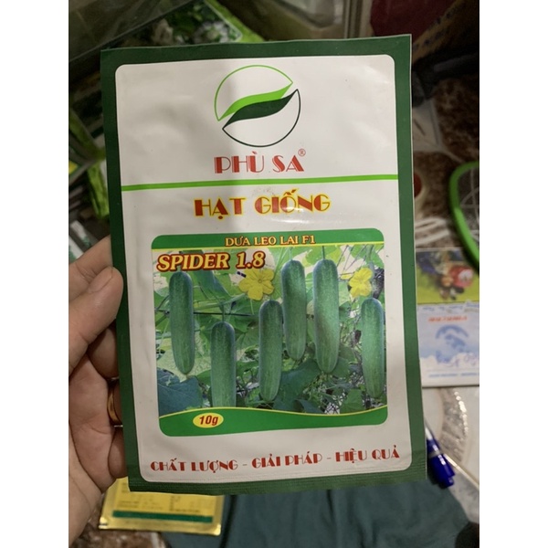 hạt giống dưa leo phù sa 1,8