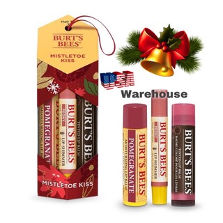 Set hộp quà 3 son Burt’s Bees chính hãng USA