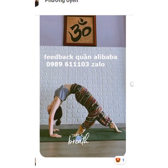 🌸 Quần Alibaba Harem Thái