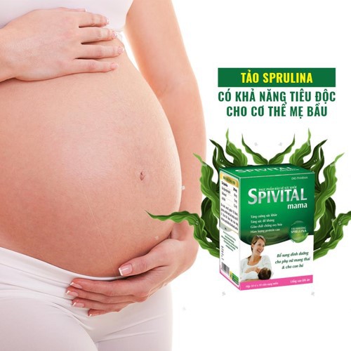 Spivital Mama - Spivital Nutri - Tảo khoáng Spirulina [Spivita, đạm thực vật]