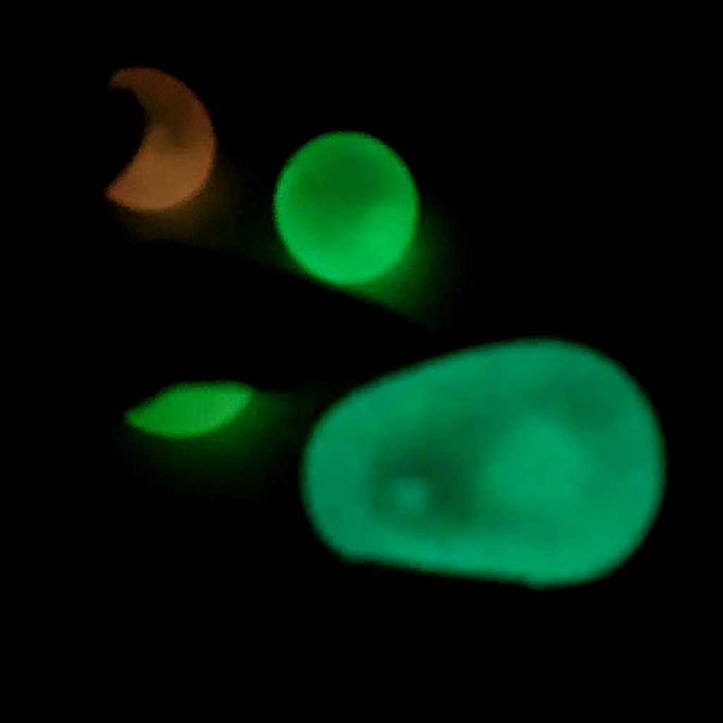 [Meifuyi] 4PCs Squeeze Toys Luminous Sticky Wall Balls Stress Reliever Toy Adult Kids VN439