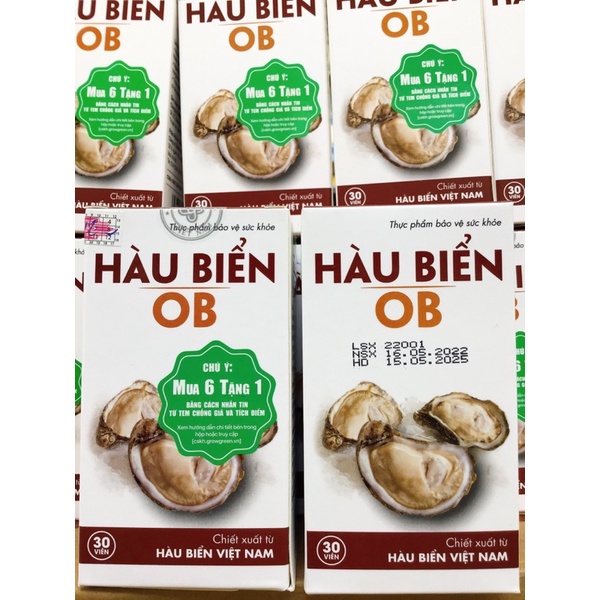 [Chính Hãng] Hàu Biển OB - Tăng Cường Sinh Lý Nam / MUA 6 TẶNG 1.