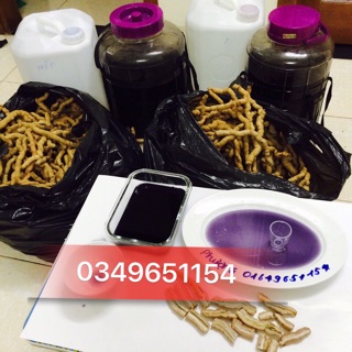Củ Ba kích tím Quảng Ninh