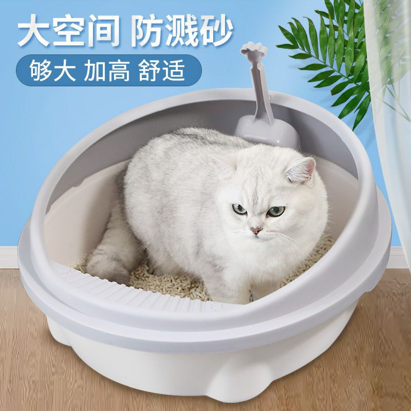 Thau cát vệ sinh cho mèo